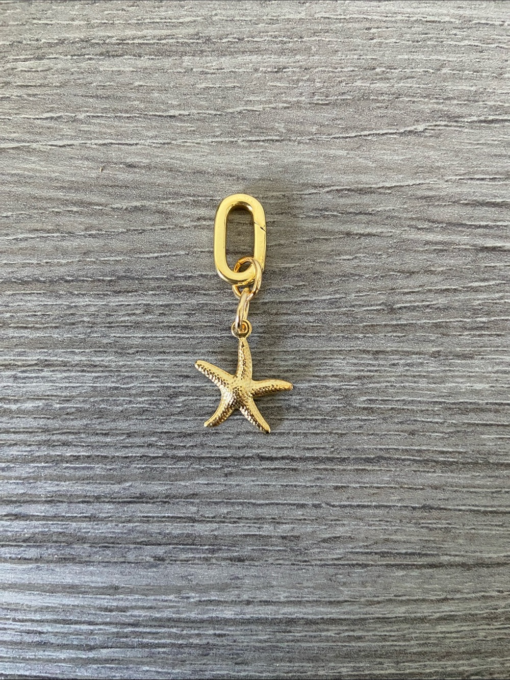Gold Plated Starfish Bikini Charm